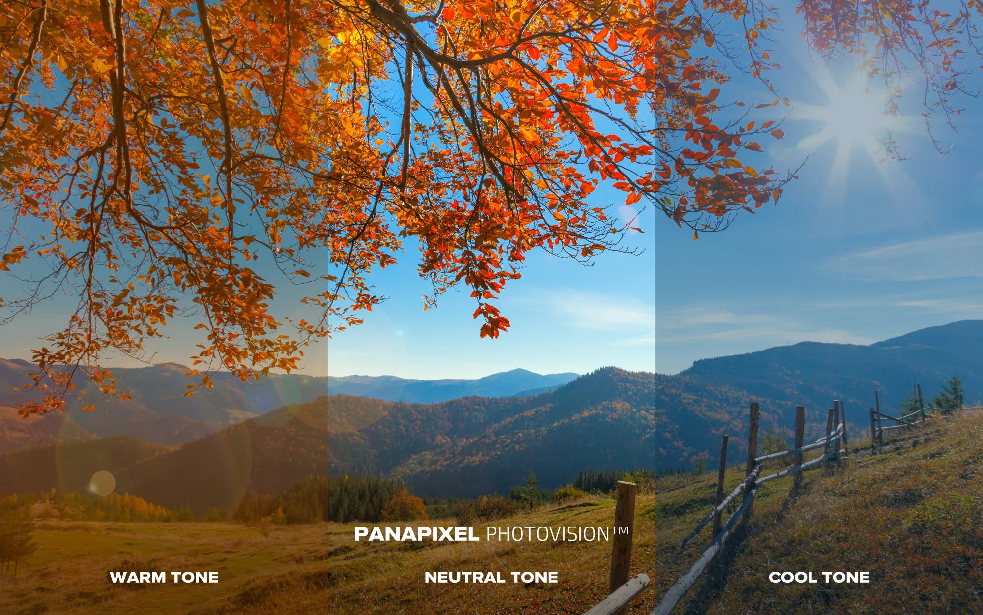 PANAPIXEL true color preservation comparison
