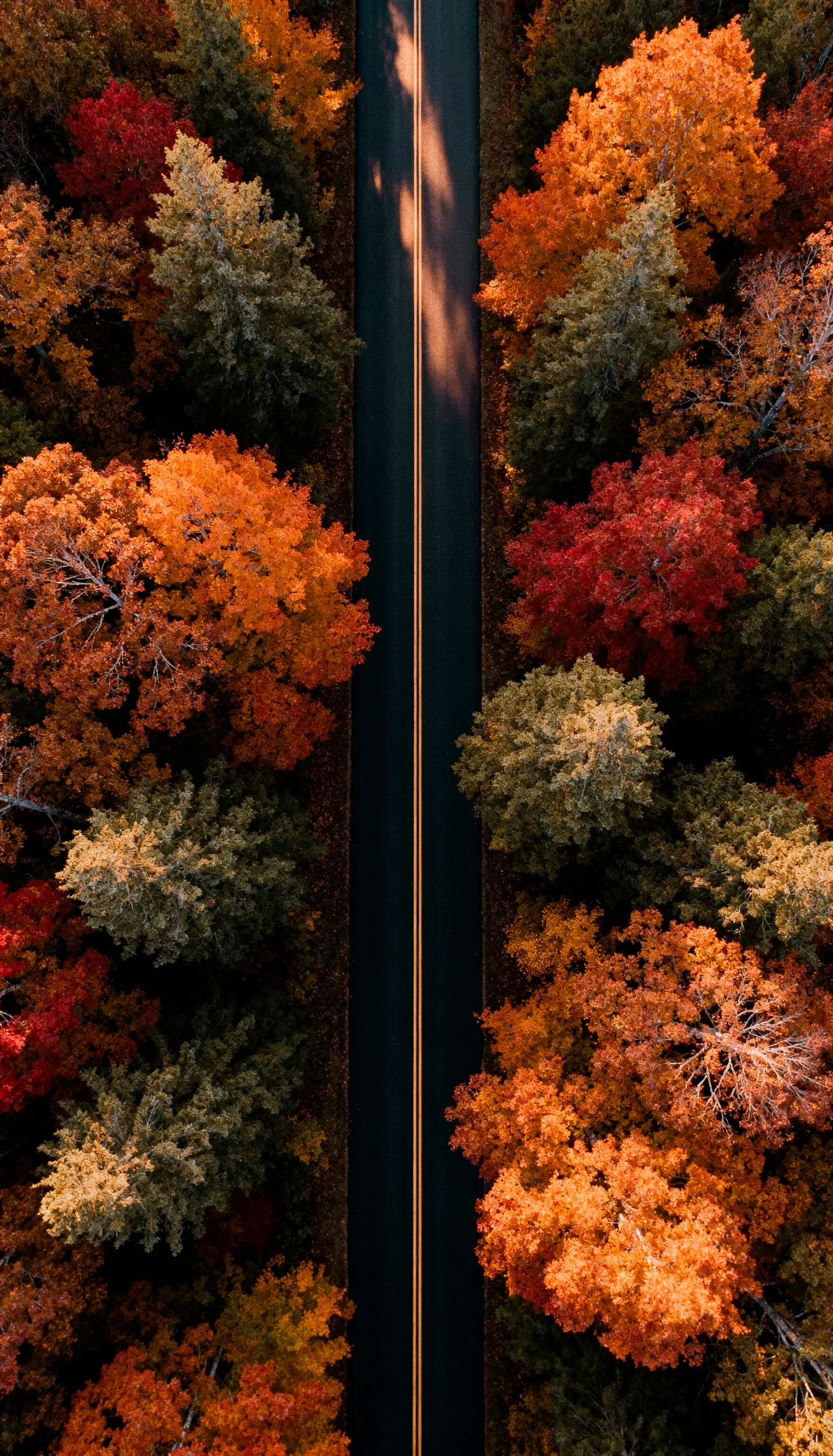 PANAPIXEL true color road visibility